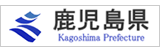 縩ۡڡ