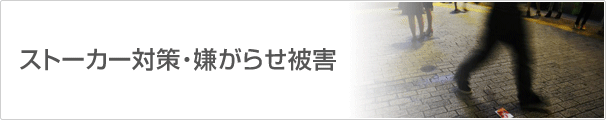 ȡк餻ﳲ